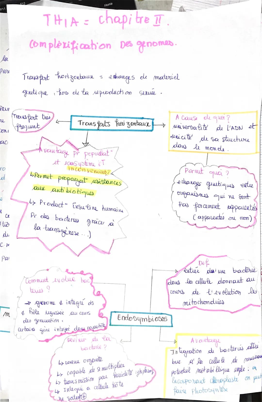 complexité des génomes 