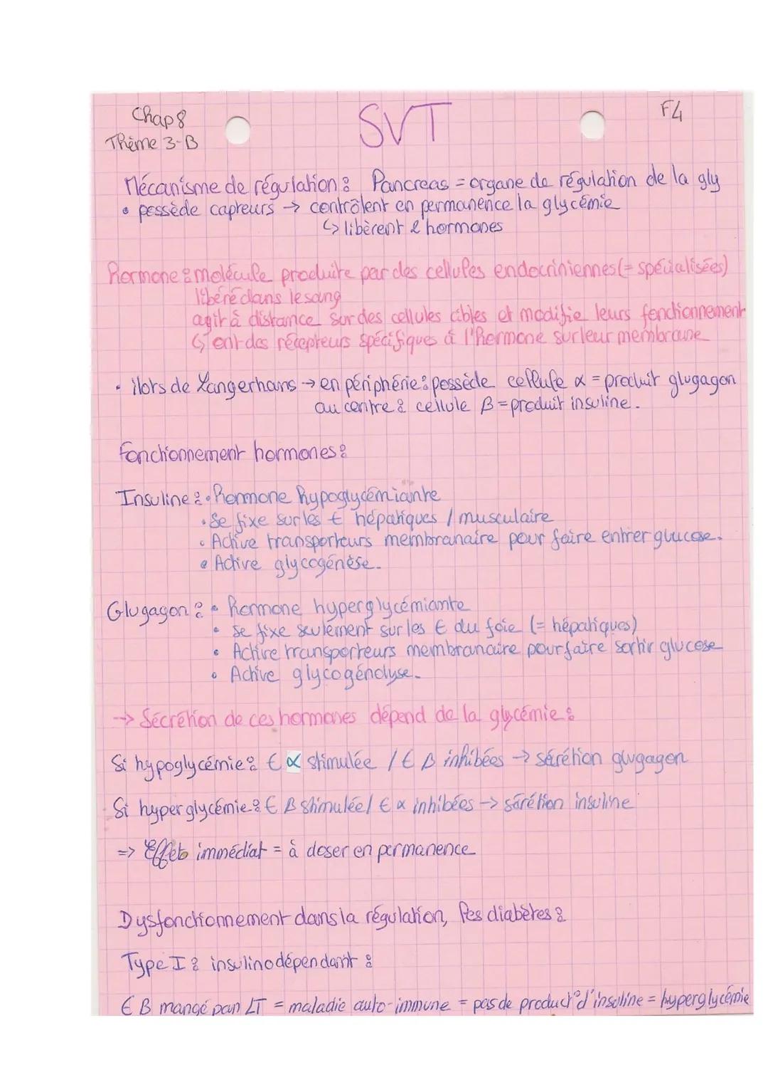 chap 8
Theme 3-B
- he controle des flux de glucose
substrat pour créer ATP
→ uhliser en permanence parnos cellules pour fonctionner
→+ les b