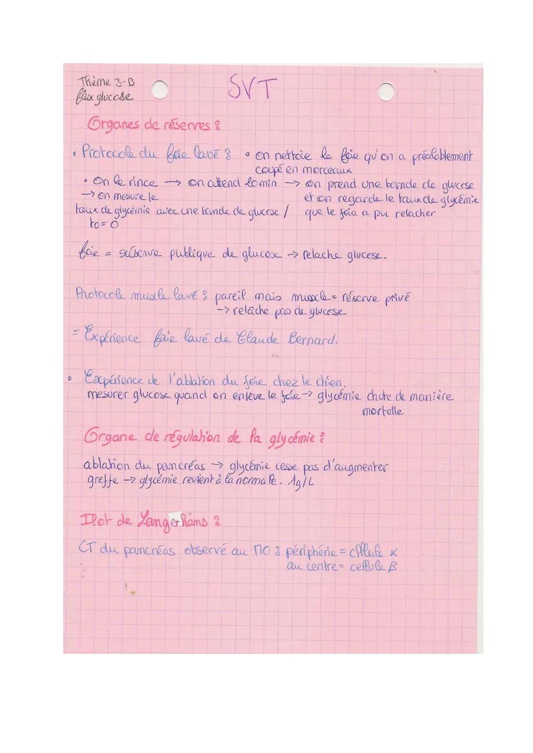 chap 8
Theme 3-B
- he controle des flux de glucose
substrat pour créer ATP
→ uhliser en permanence parnos cellules pour fonctionner
→+ les b