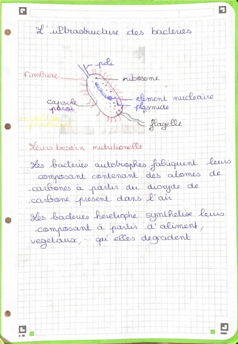 Définition
• Maladie provoquée par le développement
anarchique de cellules anormales.
•Les cellules sont appelées CELLULES
NEOPLASIQUES.
Ell