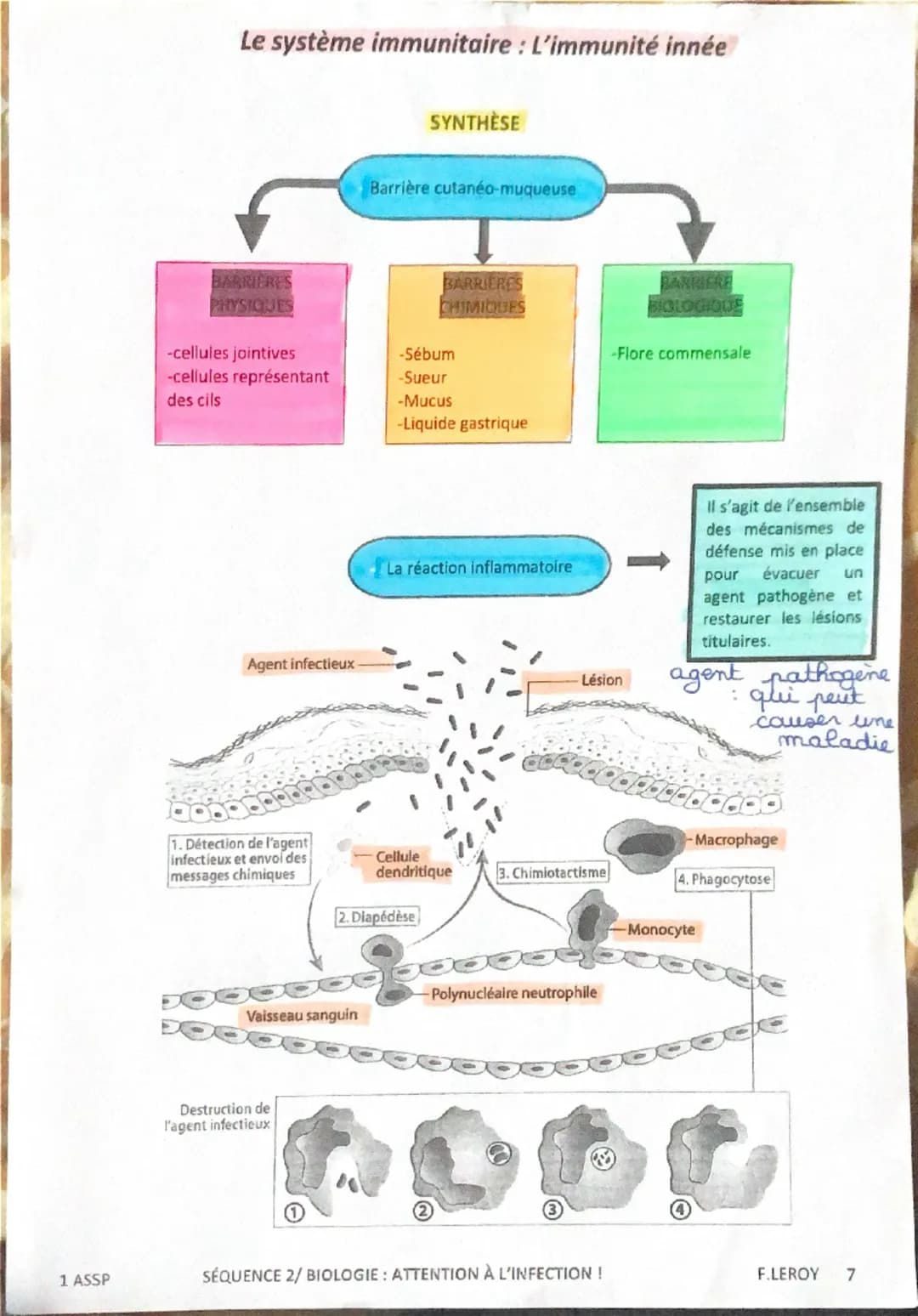 Définition
• Maladie provoquée par le développement
anarchique de cellules anormales.
•Les cellules sont appelées CELLULES
NEOPLASIQUES.
Ell