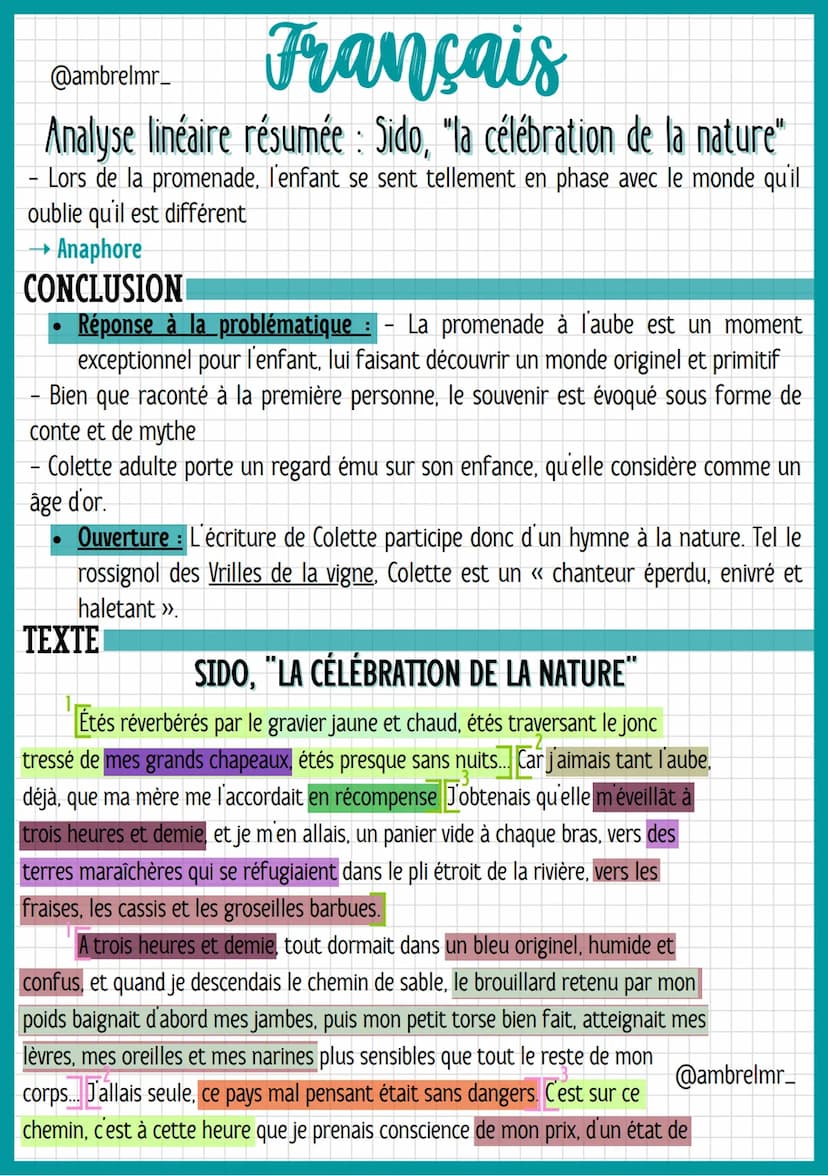 Français
@ambrelmr_
Analyse linéaire résumée : Sido, "la célébration de la nature"
INTRODUCTION
Présentation du texte :
→ Auteur : - Sidonie
