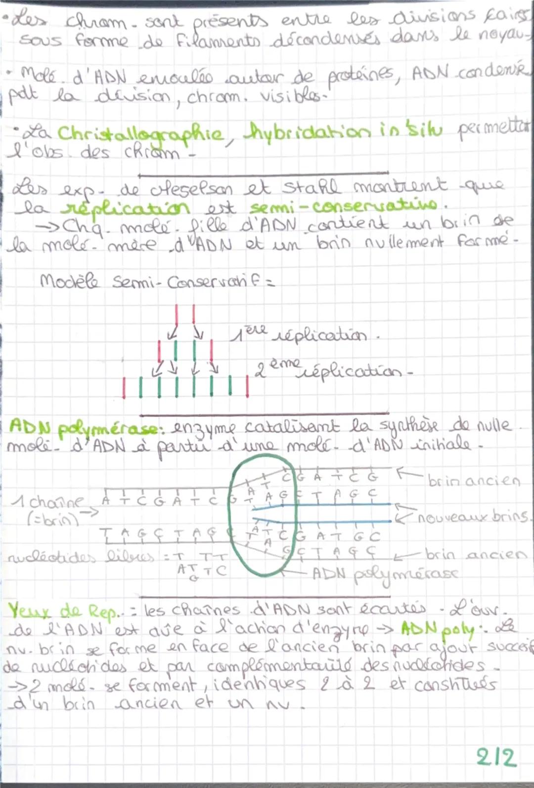 La réplication
-de l'ADN
ADN - Acice Desoxyribo Nucléique
-Matériel génétique essentiel pour
et le fonctionnement des cellules
112
la reprod