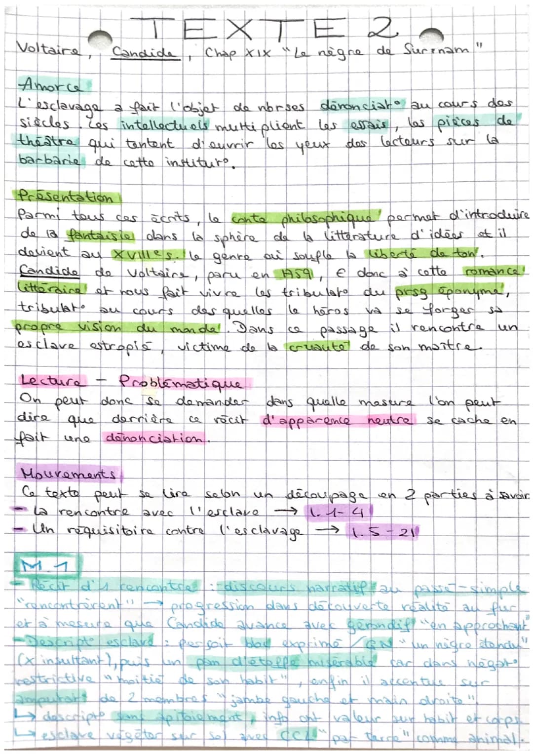 Voltaire,
Amorce
L'esclavage a fait l'objet de norses. denonciato au cours des
siècles Les intellectuels multiplient les essais,
les pièces
