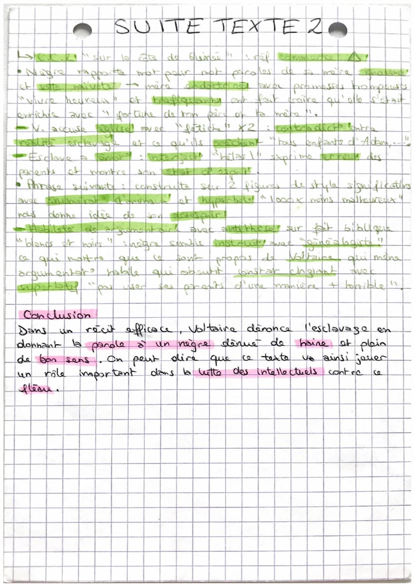 Voltaire,
Amorce
L'esclavage a fait l'objet de norses. denonciato au cours des
siècles Les intellectuels multiplient les essais,
les pièces
