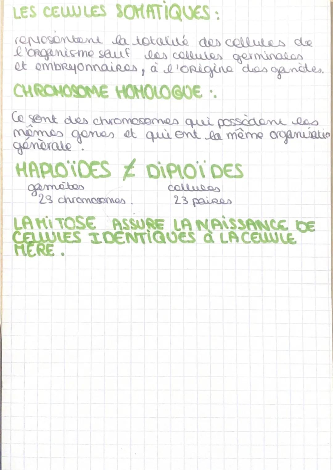 SVT

1 seul
gene

Aide mémoire

multiplication
cellulaire

peines de chromosomes

Localisation des genes
dans les chemoveme

Duplication

Ex