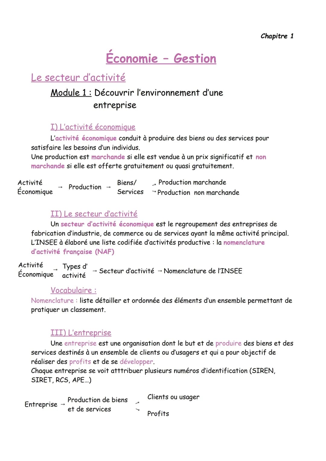 Economie gestion : le secteur d'activité 