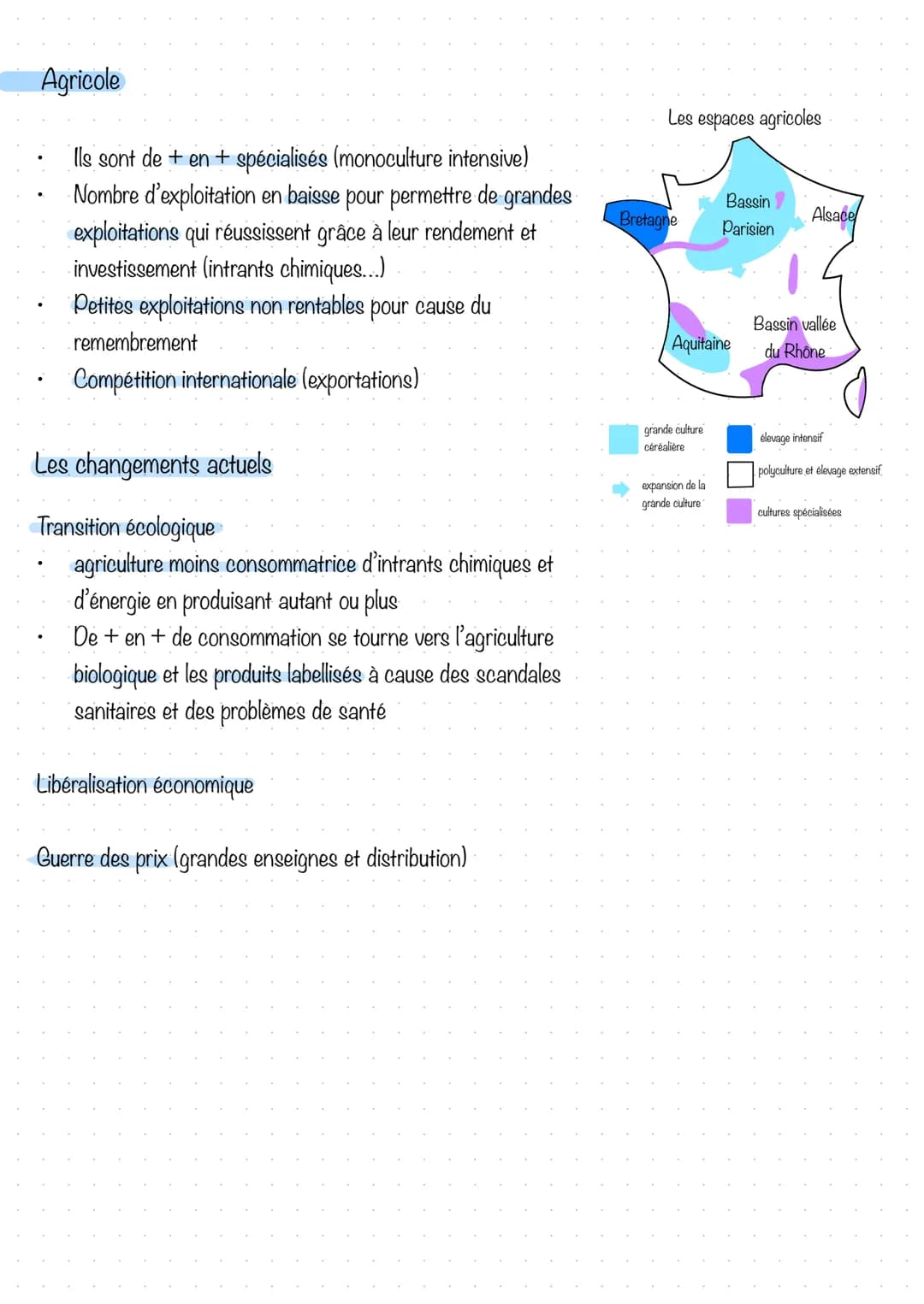 Les espaces productifs en France
Le Tertiaire
Géographie
Définition
Le secteur tertiaire recouvre un vaste champ d'activités qui s'étend du 