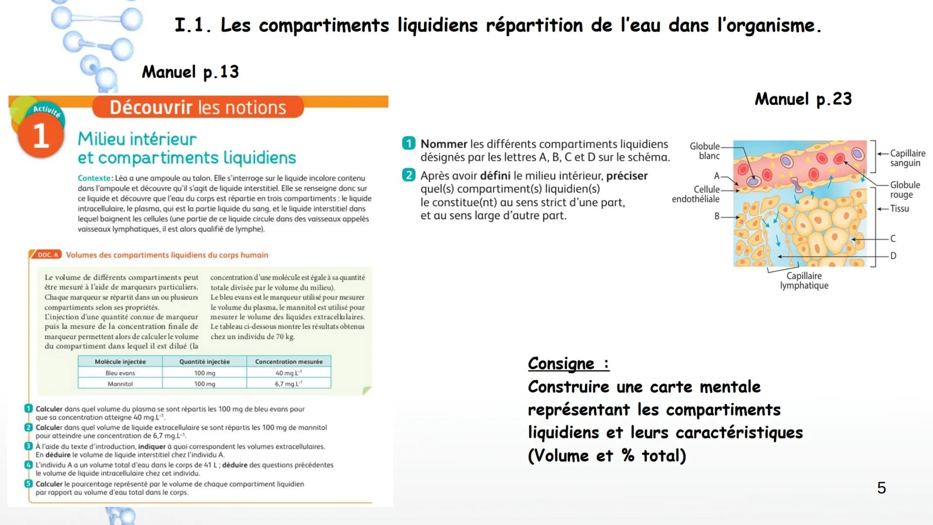 Chapitre 6 Milieu intérieur et homéostasie
:
1 Chapitre 6 Milieu intérieur et homéostasie
I. Milieu intérieur et compartimentation
1. Les co