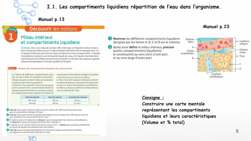 Chapitre 6 Milieu intérieur et homéostasie
:
1 Chapitre 6 Milieu intérieur et homéostasie
I. Milieu intérieur et compartimentation
1. Les co