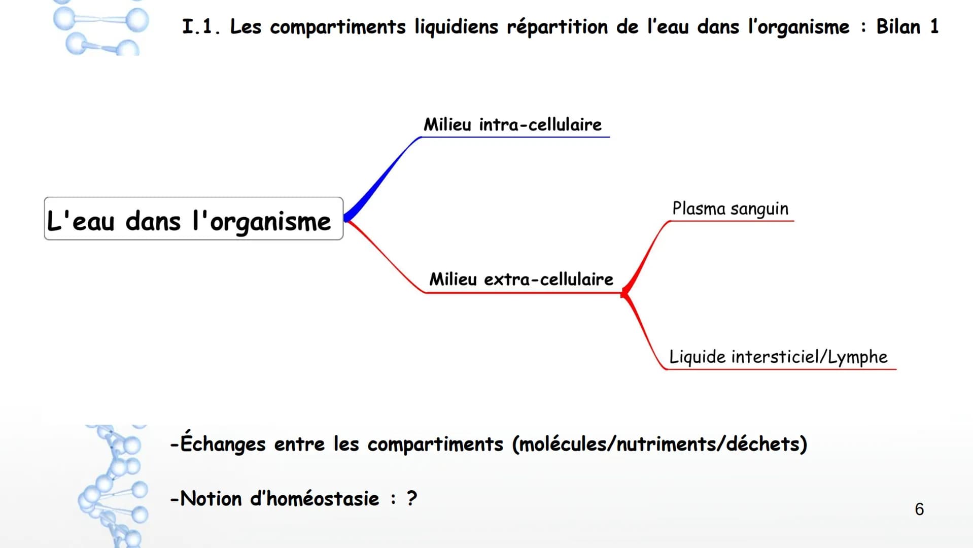 Chapitre 6 Milieu intérieur et homéostasie
:
1 Chapitre 6 Milieu intérieur et homéostasie
I. Milieu intérieur et compartimentation
1. Les co