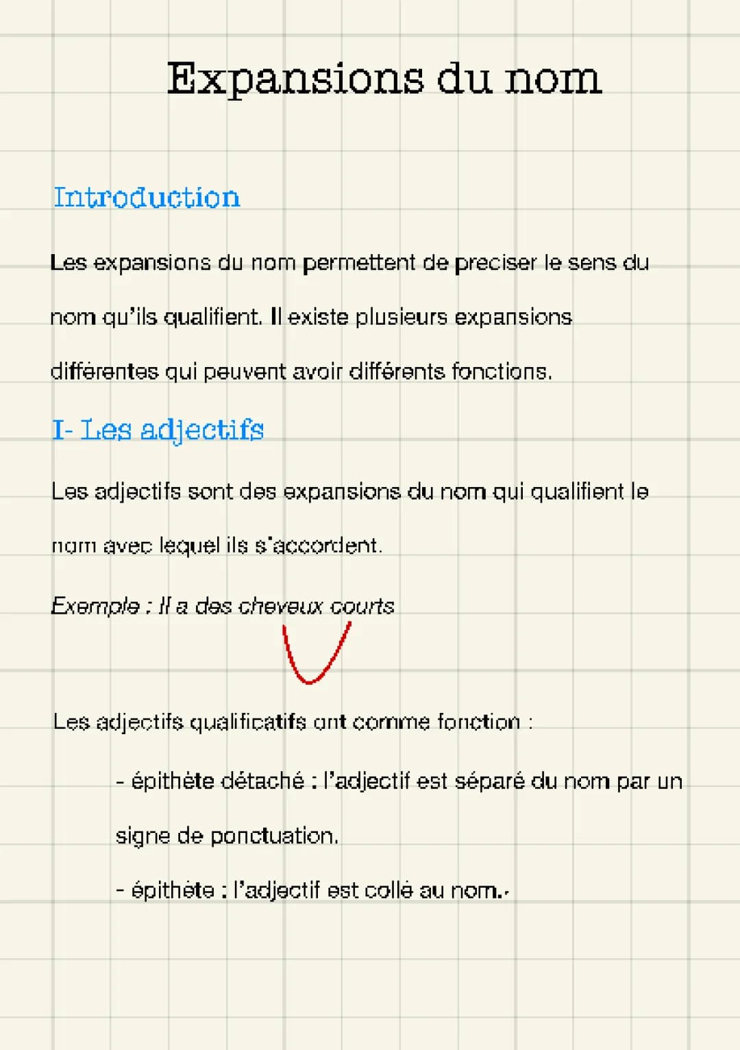 Les Expansions du Nom pour les 5ème et 4ème - Exercices PDF Corrigés