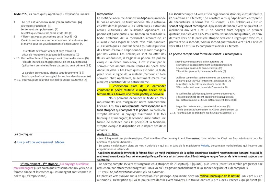 Analyse linéaire Les Colchiques 