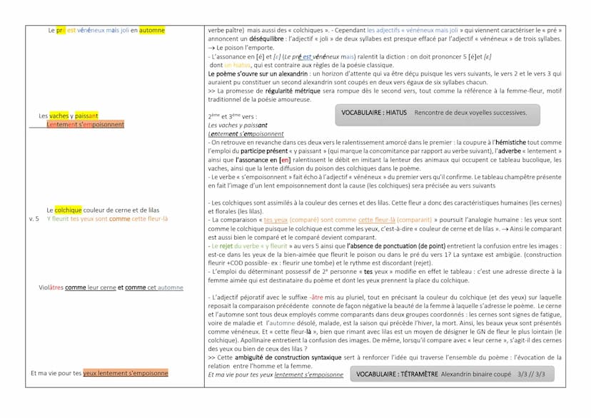 Texte n°2- Les colchiques, Apollinaire - explication linéaire
Le pré est vénéneux mais joli en automne (A)
Les vaches y paissant (B)
Lenteme