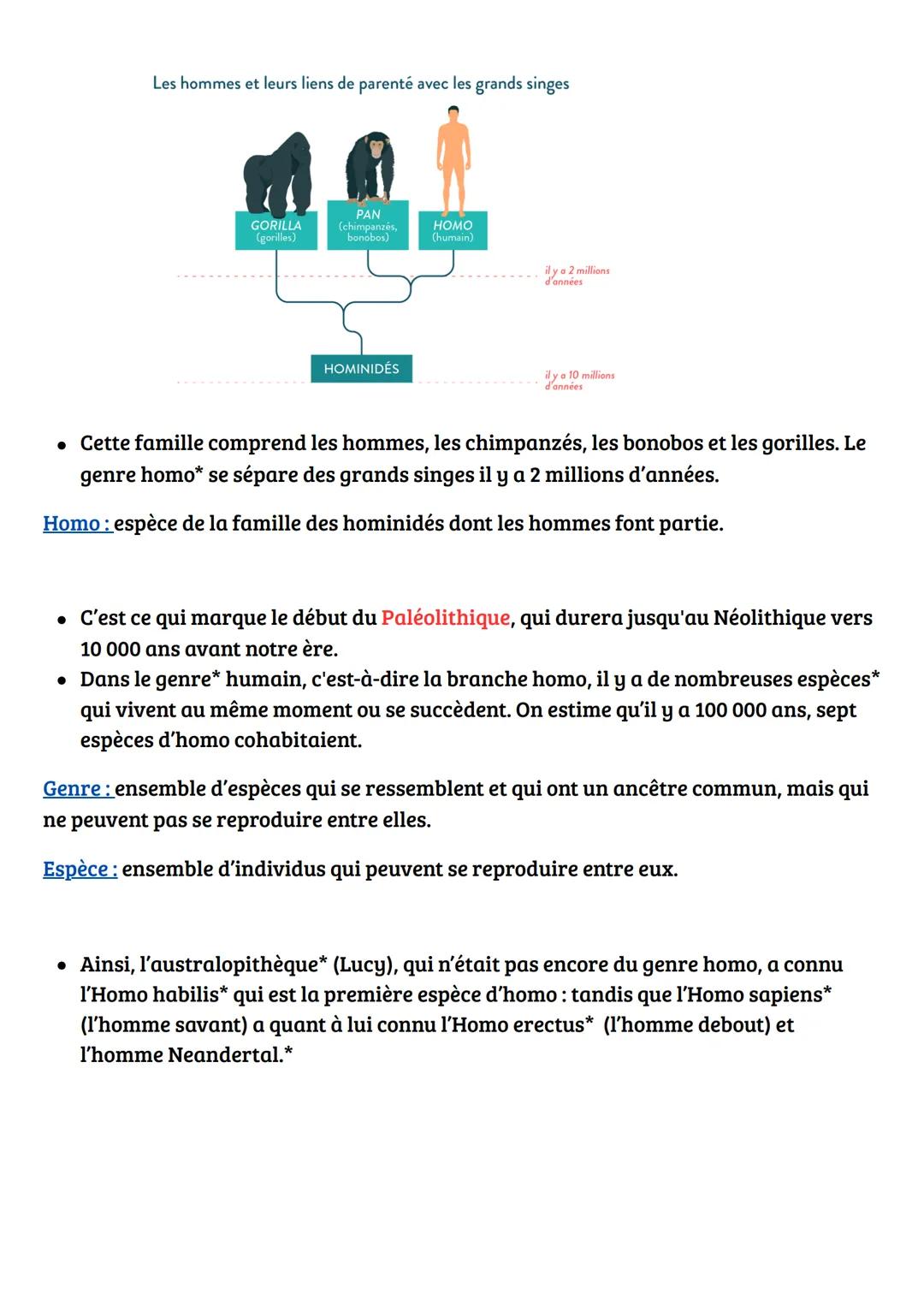 HISTOIRE GÉOGRAPHIE:
Introduction:
L'histoire des origines de l'humanité, même si elle reste imprécise, est de mieux en
mieux connue. Différ