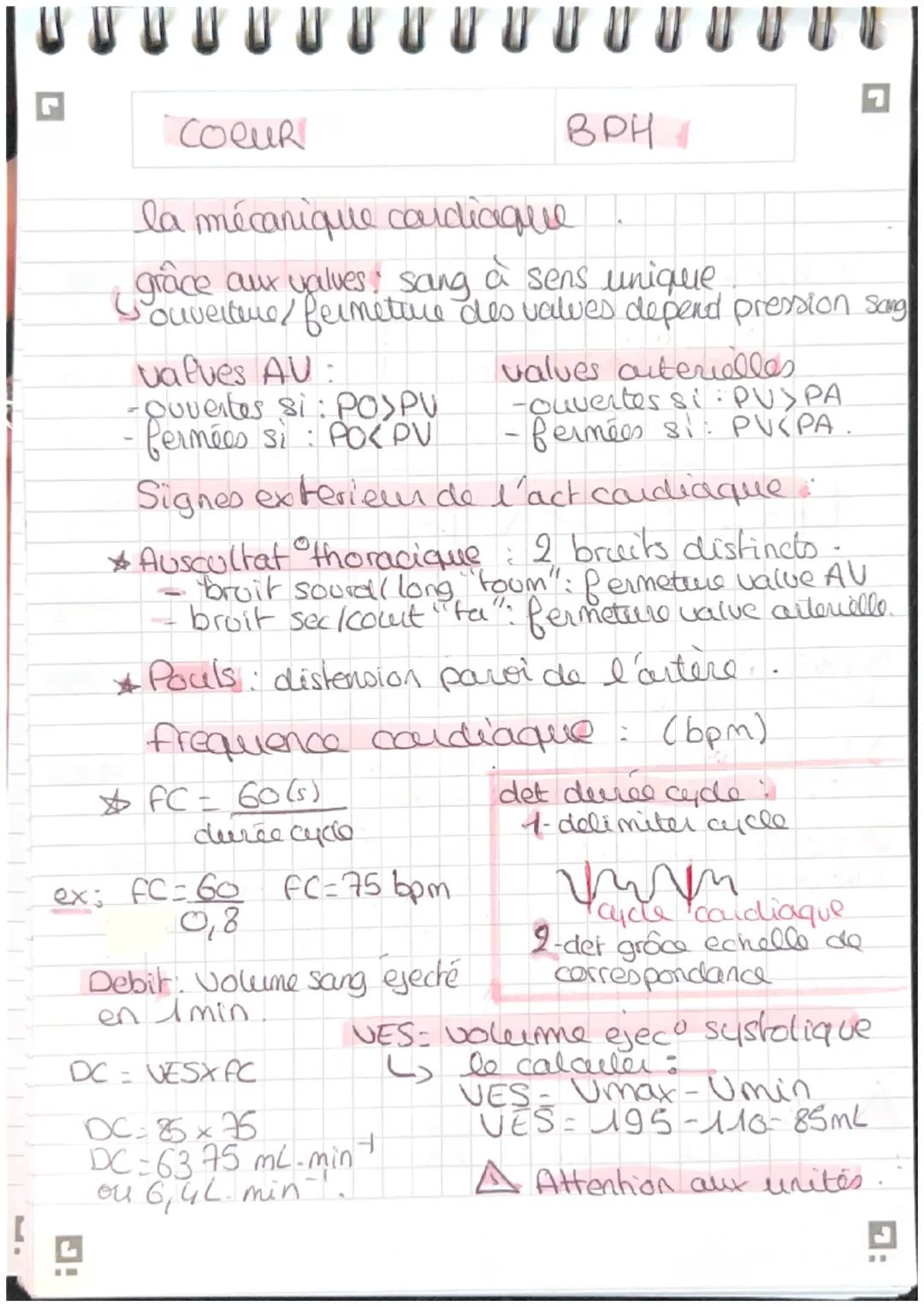 G

COCUR

BPH

Schema myocarde,

Sang riche en O2
Sang pauvre en 02

Artere corte

veine cave superieur

veine pulmo d

artère pulmonare

ve