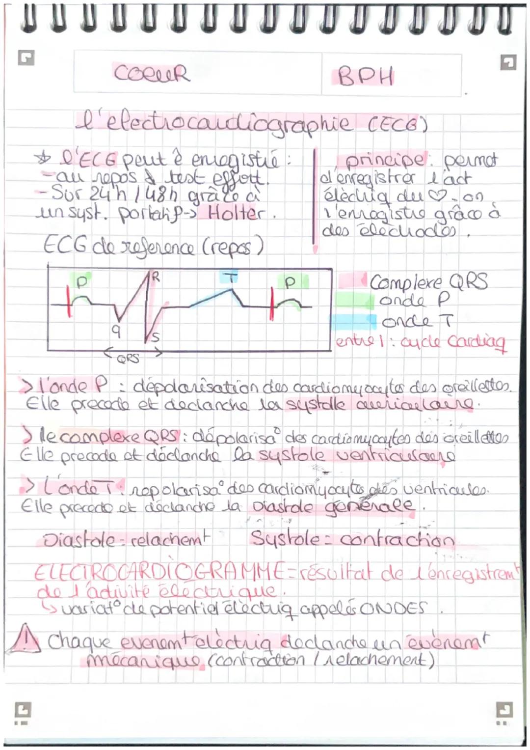 G

COCUR

BPH

Schema myocarde,

Sang riche en O2
Sang pauvre en 02

Artere corte

veine cave superieur

veine pulmo d

artère pulmonare

ve