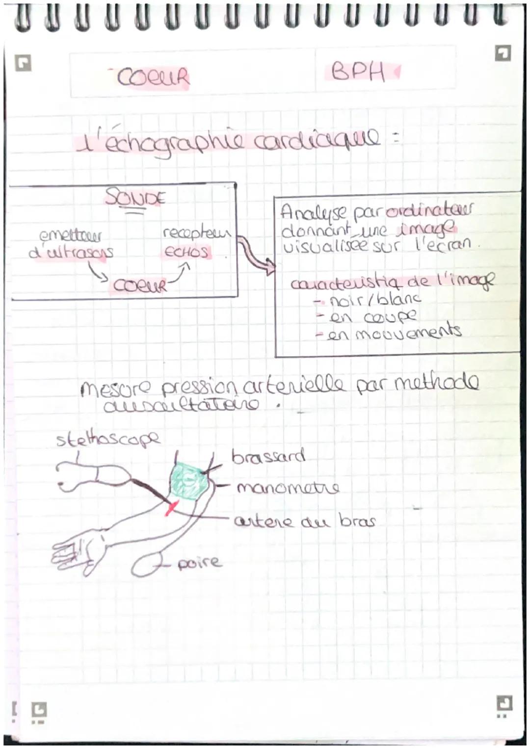 G

COCUR

BPH

Schema myocarde,

Sang riche en O2
Sang pauvre en 02

Artere corte

veine cave superieur

veine pulmo d

artère pulmonare

ve