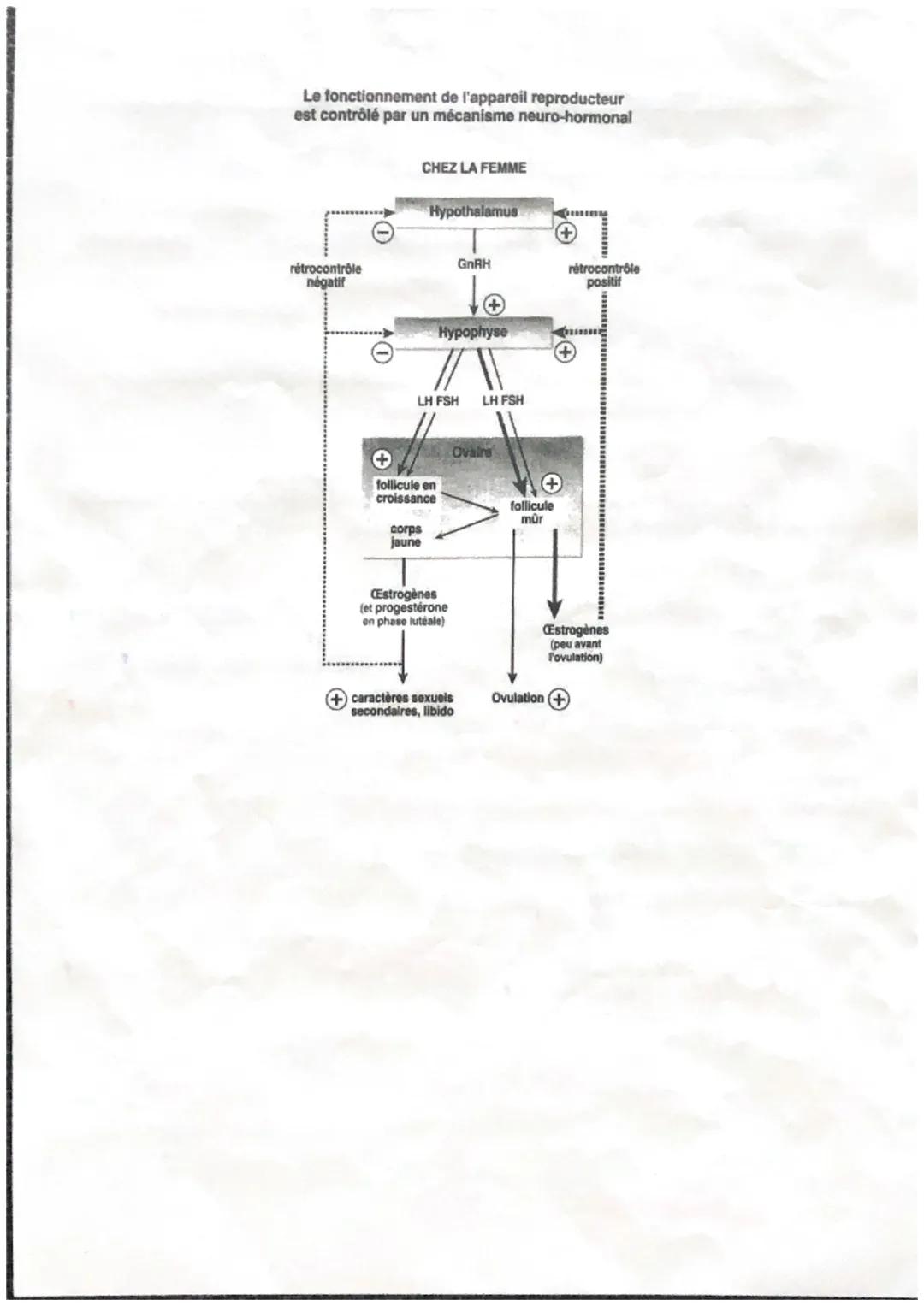 Secondes
Partie 3-Corps humain et santé : Féminin - Masculin
Chapitre 3A2-suite-: La fonction de reproduction chez la femme (TP 3A4)
II - Le