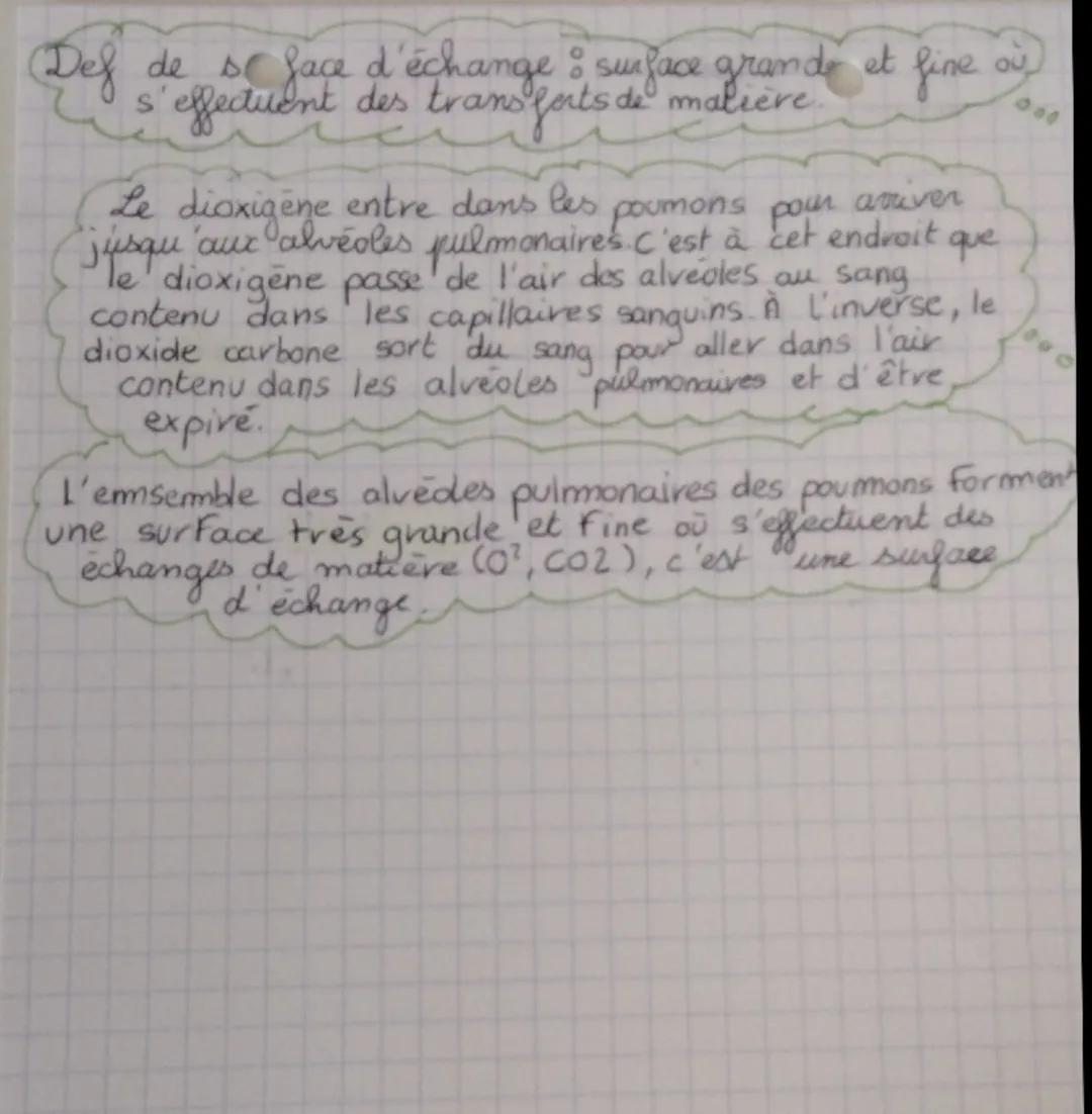 00

Leçon 5 : L' approvisionnement en dioxigène

Nos organes utilisent du dioxigène qu'ils puisent dans
le sang dans le but de prodir de l'é