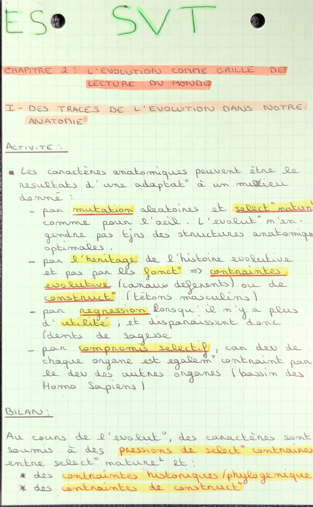 L'évolution comme grille de lecture du monde : Exos, Cours et Fiche de Révision