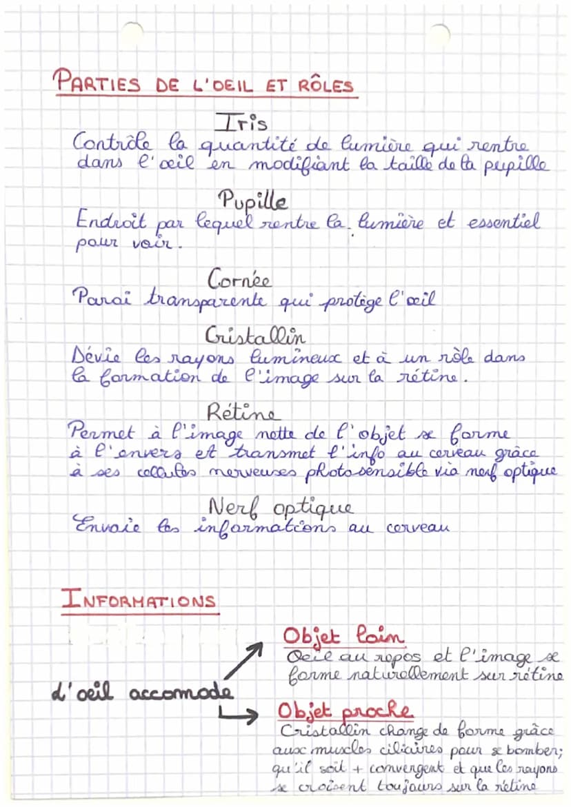 physique
L'OEIL ET SA MODELISATION
SCHEMA SIMPLIFIE DE L'OEIL
TRIS
PUPILLE&
→
CRISTALLIN
CORNEE
MODELE REDUIT DE L'OEIL
B
A
F
DIAPHRAGME ←
i