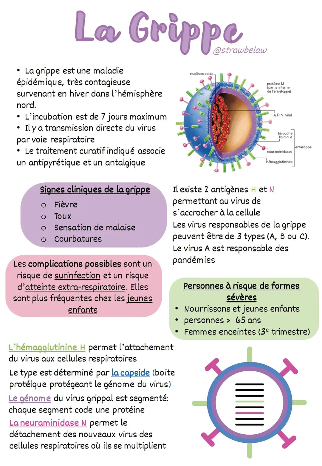 La Grippe
