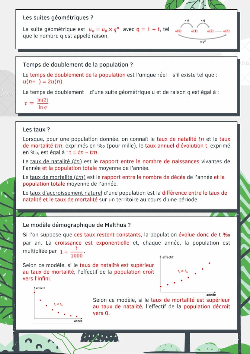 Les modèles
démographiques
L'évolution d'un population ?
Valeur absolue d'une grandeur entre deux paliers n et n+1: Un+1 - Un
Un+1 - Un
un
a
