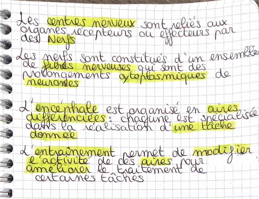 SVT
La commande de nos mouvements
par le système nerveux
Definitions:
Centre Nerveux: Chez les vertelés
ensemble que traite les messages
mer