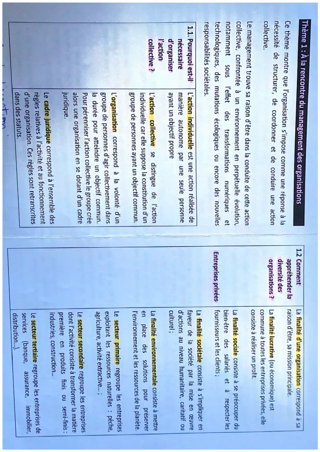 Définitions management STMG