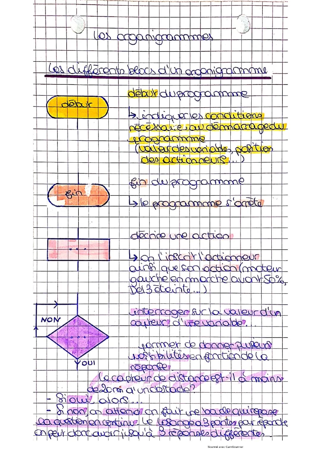 Organigramme Hiérarchique et Fonctionnel: Présentation et Exemples pour Entreprise