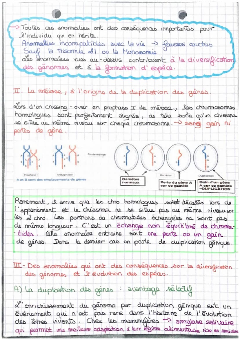 SVT
Les accidents génétiques de la mécose
I- la méiose, à l'origine d'anomalies chromosomiques.
ef
Au cours de la méiose, des
accidents peuv