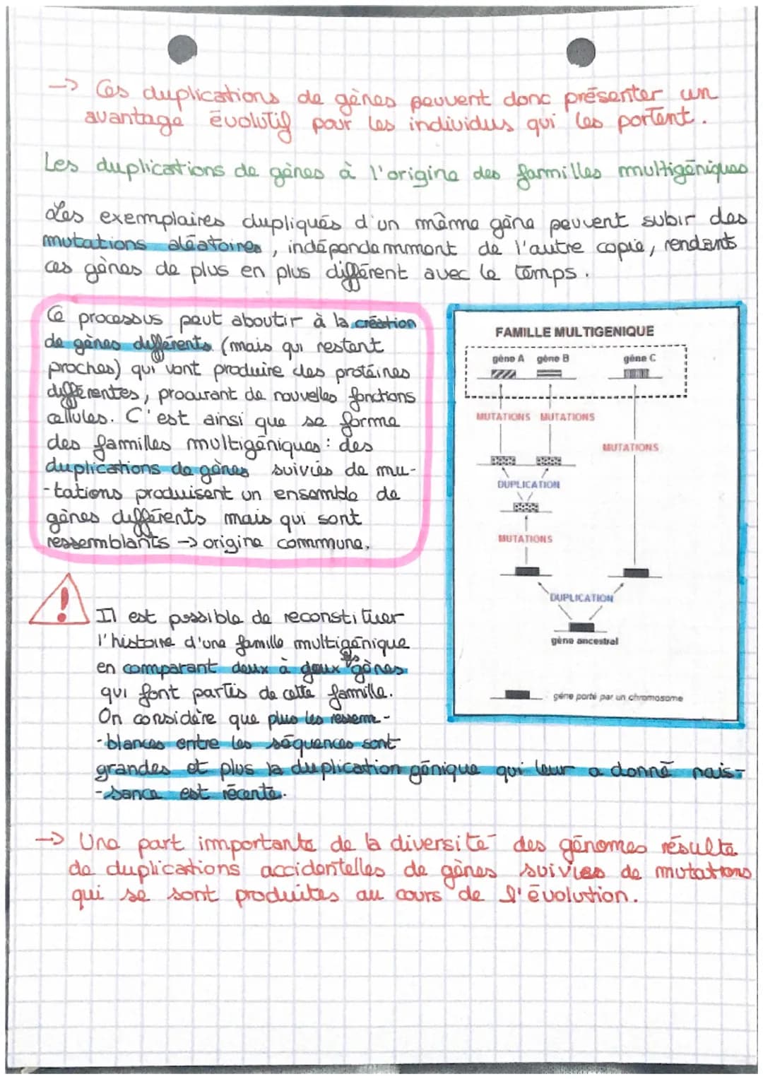 SVT
Les accidents génétiques de la mécose
I- la méiose, à l'origine d'anomalies chromosomiques.
ef
Au cours de la méiose, des
accidents peuv