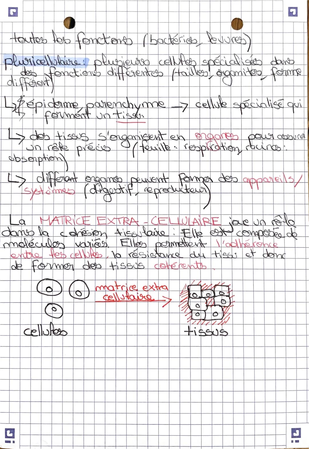 sift
Chopitice 1. l'organisation fonctionale du
vivant
DEFINITIONS.
atome: constituant fondamental de la matière
metecule structure chimique