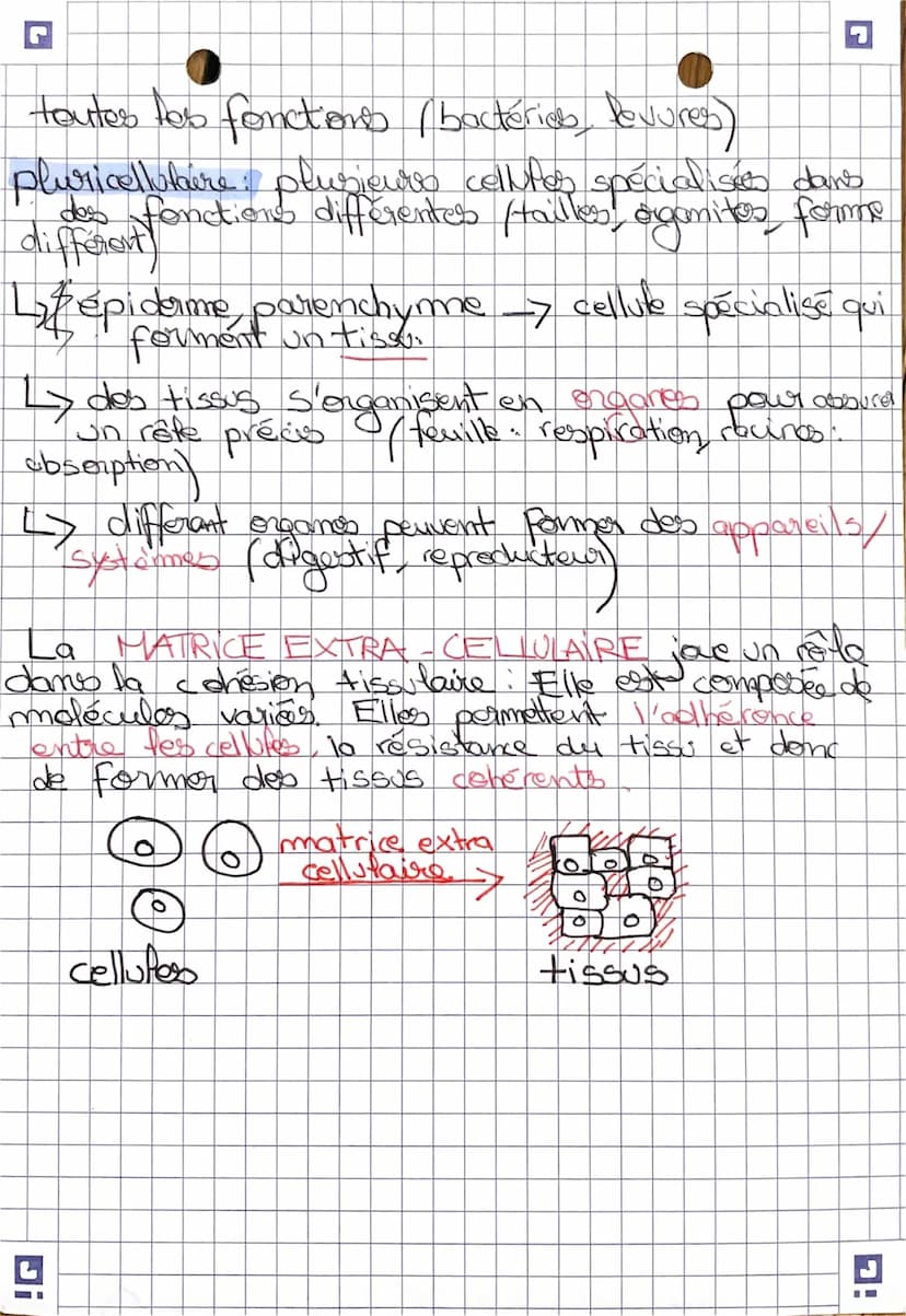sift
Chopitice 1. l'organisation fonctionale du
vivant
DEFINITIONS.
atome: constituant fondamental de la matière
metecule structure chimique