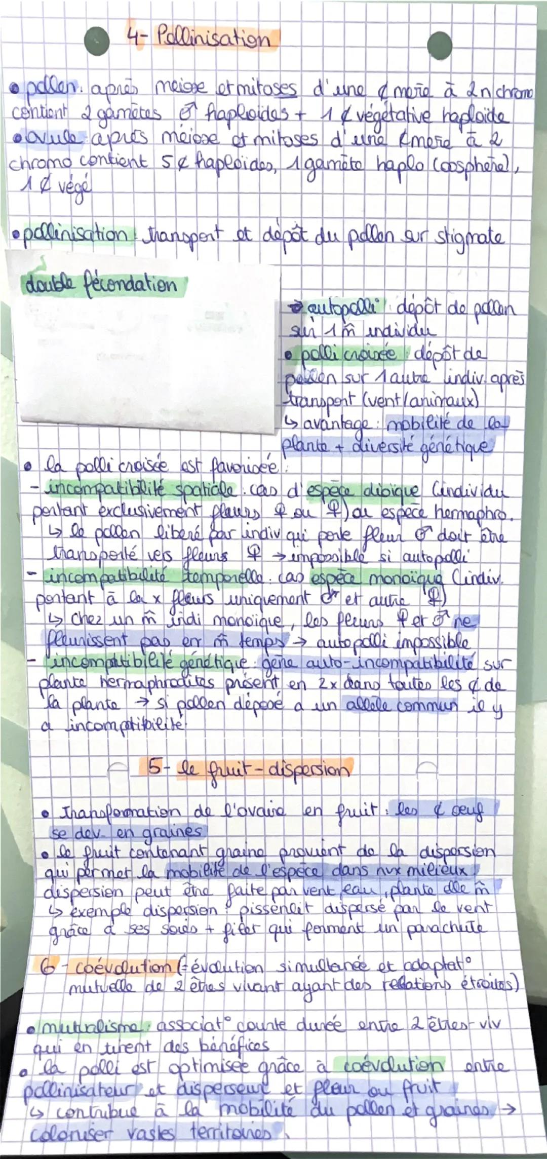 BAC
REPRODU
CTION
PLANTE
1- Reproduction asexuće
• avantage: colonisation rapide d'un milieu favorable au
parent
• inconvénient s'adapte mal