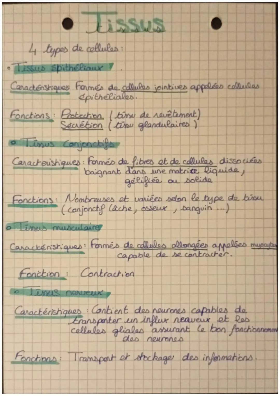 • Cellules • Thin
Reticulum Endoplasmique
Rugeux
Ribosome
Cytosol
Lysosome
Mitochondrie
Thema I
Chap 2
L'ultrastructure des cellules
Vésicul