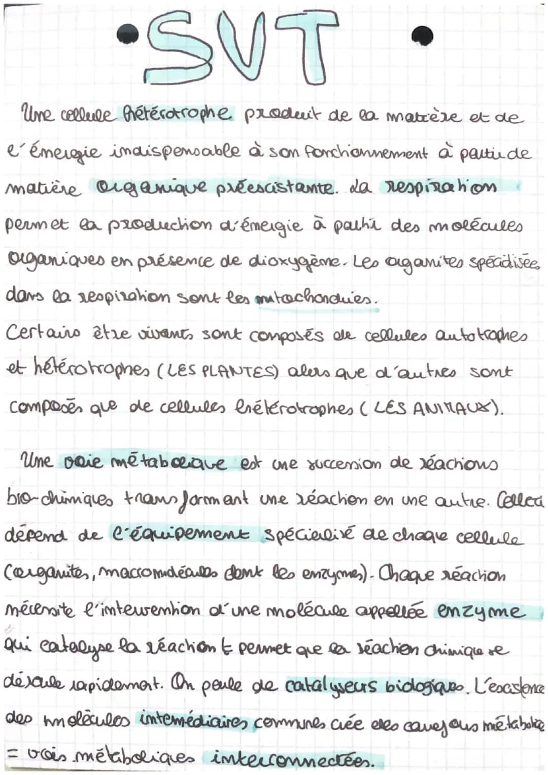 
<h2 id="lemtabolismedescellules2nde">Le métabolisme des cellules - 2nde</h2>
<p>Le métabolisme est l'ensemble de réactions biochimiques qui