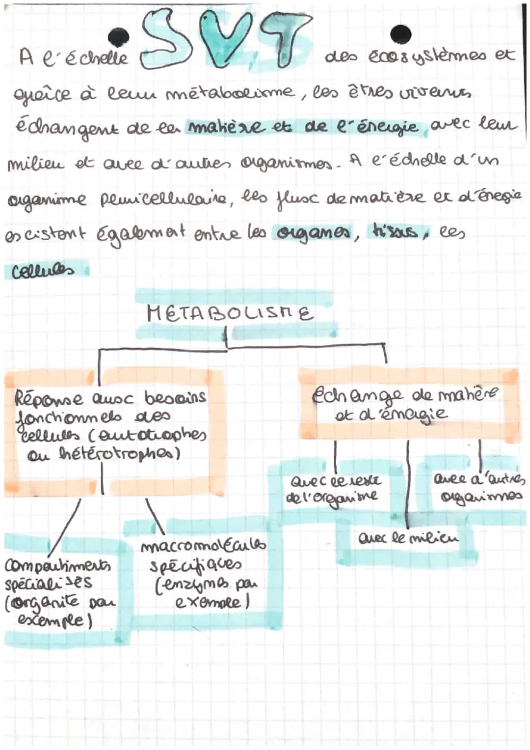 
<h2 id="lemtabolismedescellules2nde">Le métabolisme des cellules - 2nde</h2>
<p>Le métabolisme est l'ensemble de réactions biochimiques qui