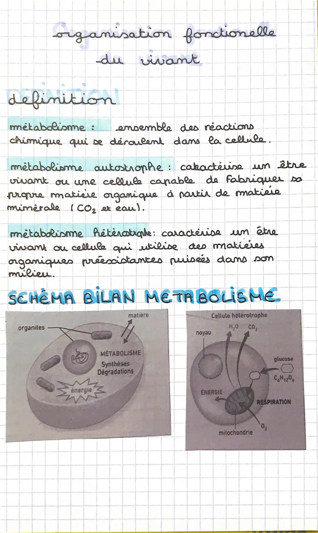 organisation fonctionelle
du vivant.
definition
metabolisme : ensemble des réactions.
chimique qui se déroulent dans la cellule.
metabolisme