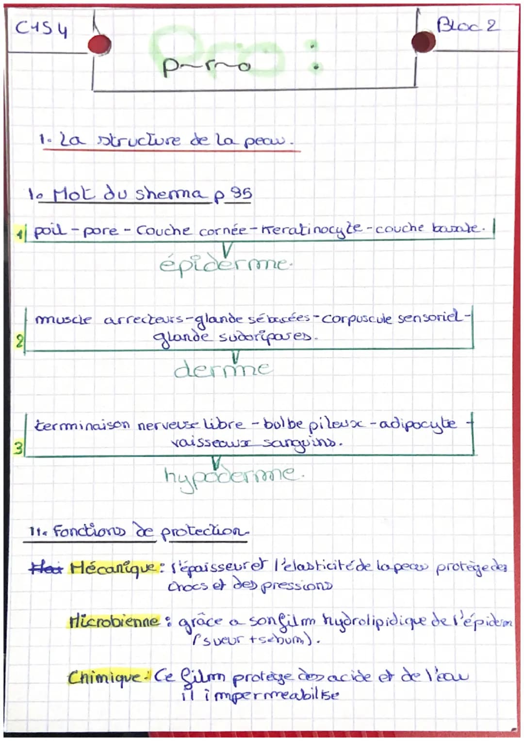 C454
pero
3
1. La structure de la peau.
1. Mot du shemma p 35
1| poil-pore - Couche cornée - Keratinocyte-couche bazate.
épiderme.
BLOC 2
mu