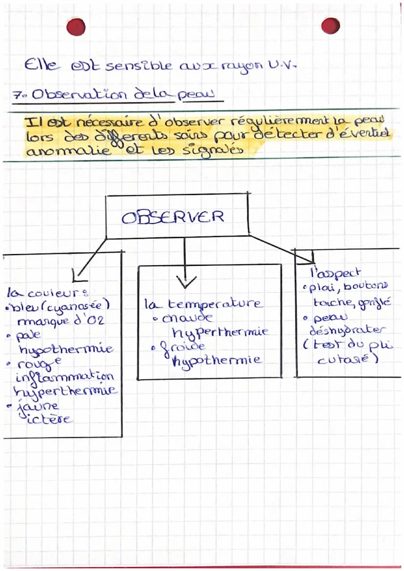 C454
pero
3
1. La structure de la peau.
1. Mot du shemma p 35
1| poil-pore - Couche cornée - Keratinocyte-couche bazate.
épiderme.
BLOC 2
mu
