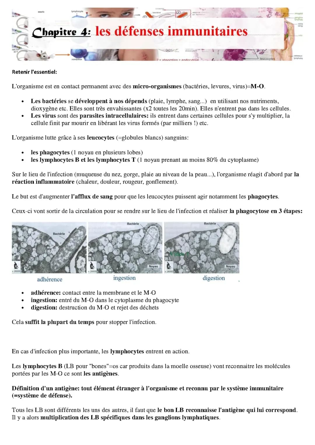 Les défenses immunitaires 