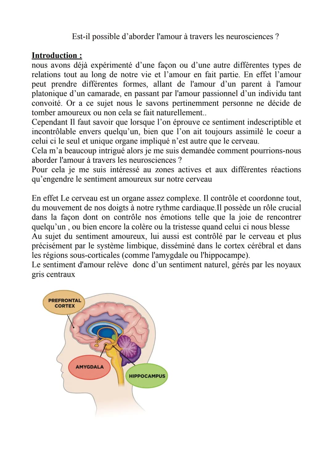 Est-il possible d'aborder l'amour à travers les neurosciences ?
Introduction :
nous avons déjà expérimenté d'une façon ou d'une autre différ