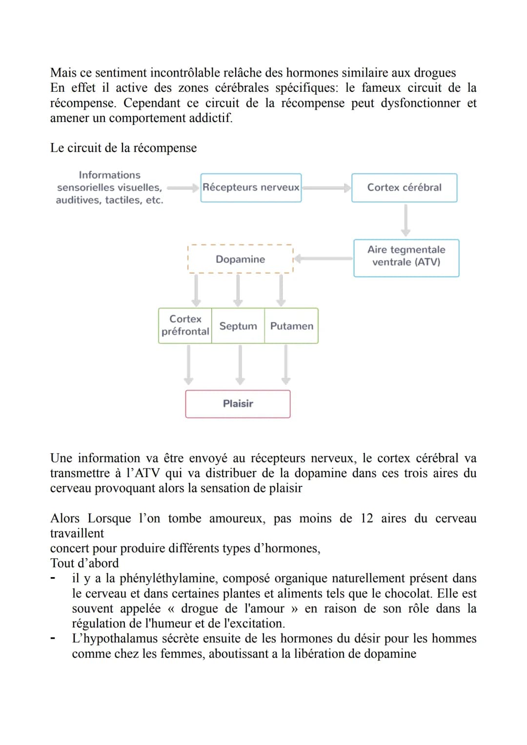 Est-il possible d'aborder l'amour à travers les neurosciences ?
Introduction :
nous avons déjà expérimenté d'une façon ou d'une autre différ