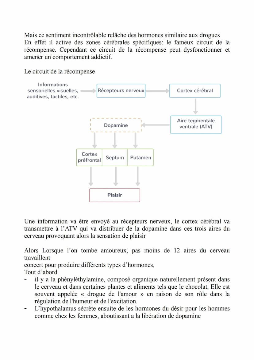 Est-il possible d'aborder l'amour à travers les neurosciences ?
Introduction :
nous avons déjà expérimenté d'une façon ou d'une autre différ
