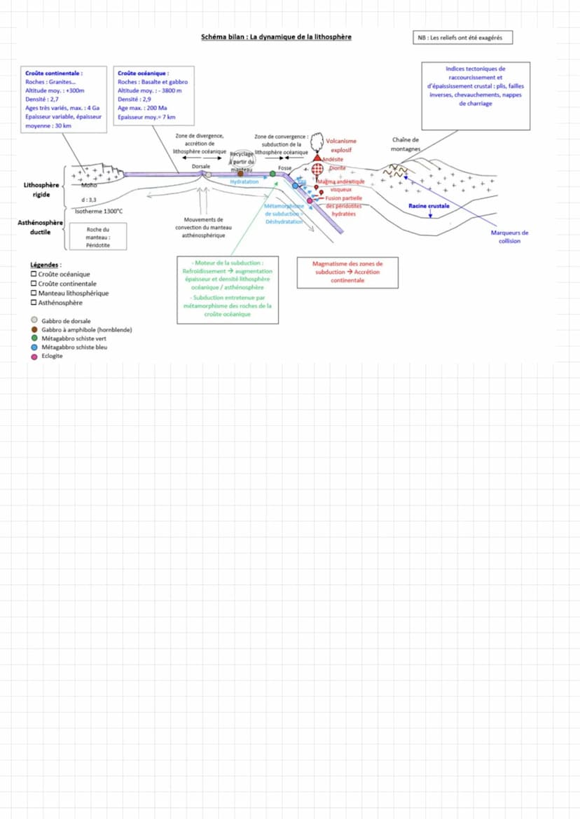 SVT
- LES INDICES DE LA MOBILITÉS HORIZONTALE
• Plus ont proche des dorsales plus l'énergie libérée augmente
Au niveau des dorsales le flux 