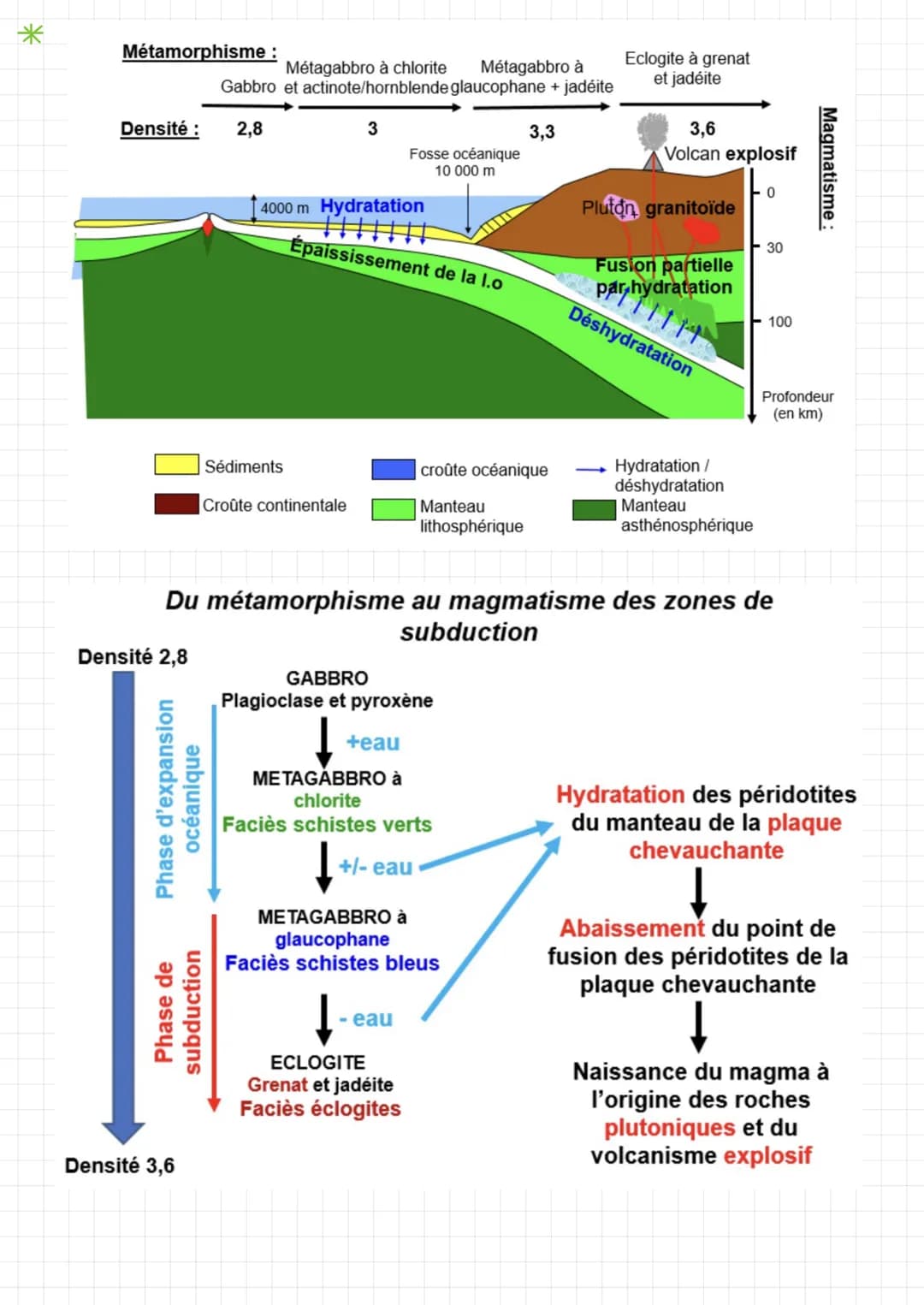 SVT
- LES INDICES DE LA MOBILITÉS HORIZONTALE
• Plus ont proche des dorsales plus l'énergie libérée augmente
Au niveau des dorsales le flux 