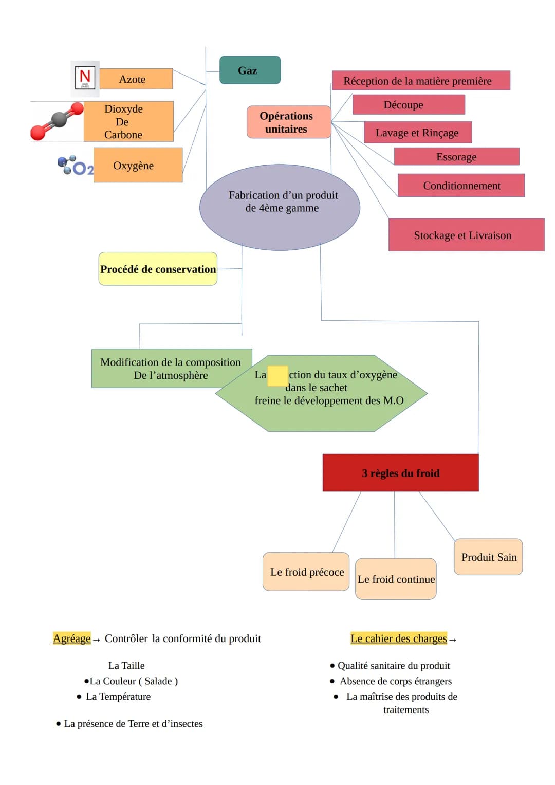 N
DES
Azote
Dioxyde
De
Carbone
Oxygène
Procédé de conservation
Modification de la composition
De l'atmosphère
La Taille
La Couleur (Salade)
