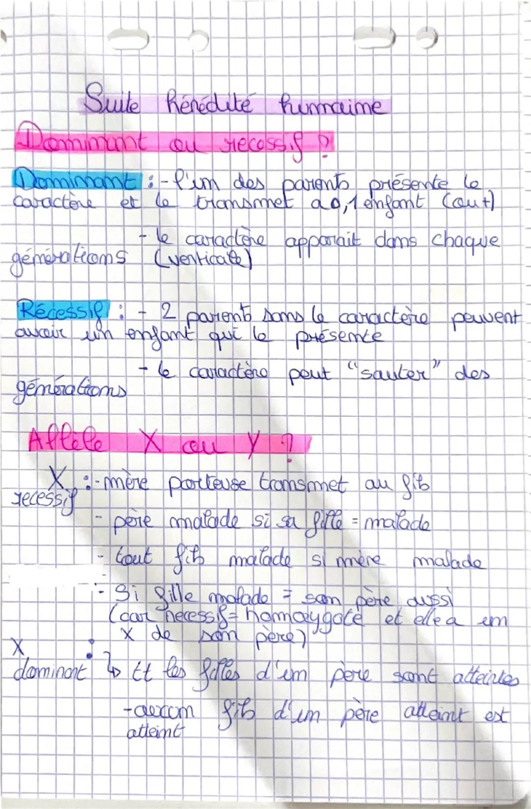 Henedite Rumaire
geme: séquence d'ADN permettant la synthèse dione P
gemame: ensemble des gèmes porté par qlq (11)
allele version d' im geme